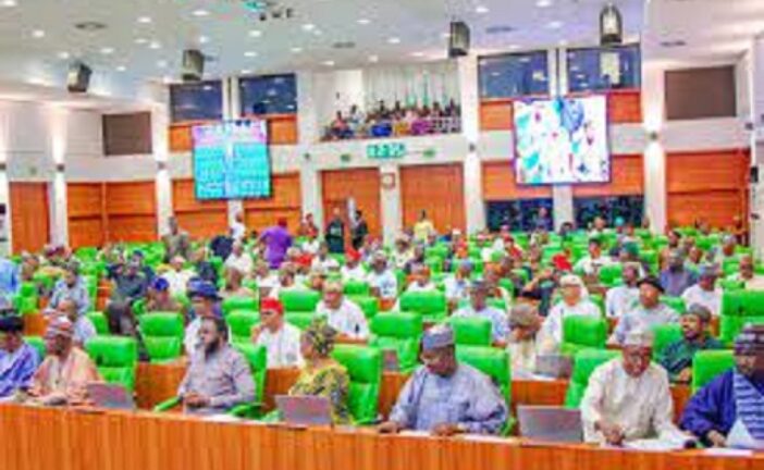 Bill To Establish Obafemi/Owode Vocational Skills University Scales Second Reading