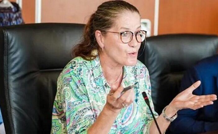 Over 4,000 Nigerians Schooling In Germany, Says Envoy