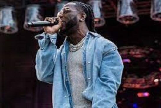 Burna Boy Lists Five Artistes Who Impacted His Musical Career