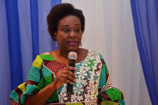 Undergo One-Year Mandatory Training Before Conversion, Yemi-Esan To HND Holders