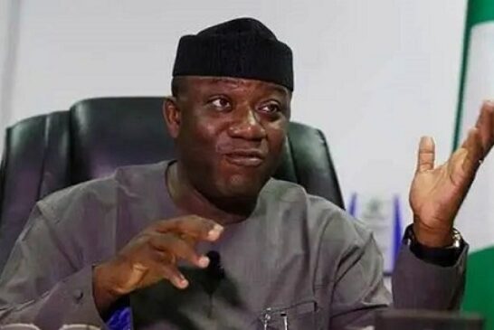 Minimum Wage: NANS Tackles Fayemi