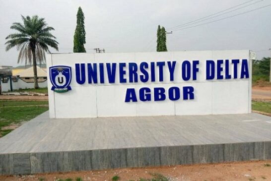 UNIDEL Records Bumper Accreditation Of Courses By NUC