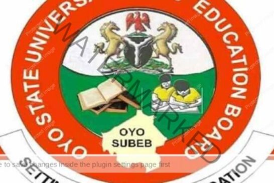 Oyo Opens Job Portal For 7,000 Primary School Teachers