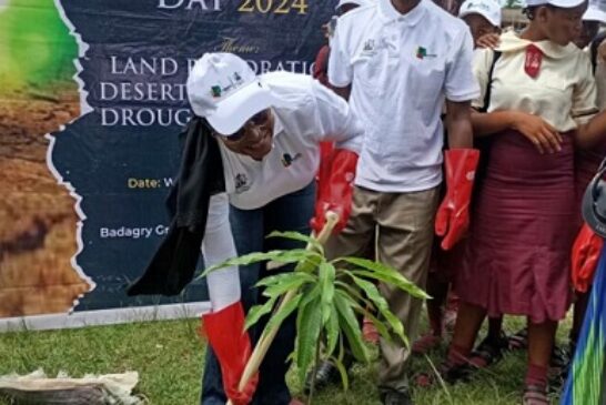 NNPC Foundation Sensitises Students To Tree Planting