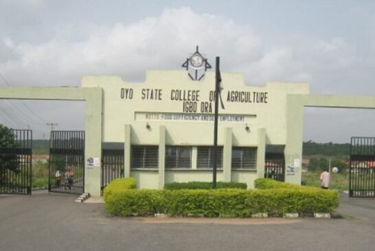 Oyo College Assures Students Of NYSC Mobilisation