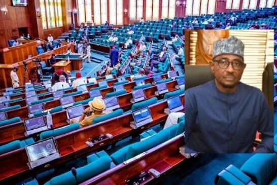 Reps Demand Nmdpra Ceo’s Suspension Over Dangote Refinery Comment