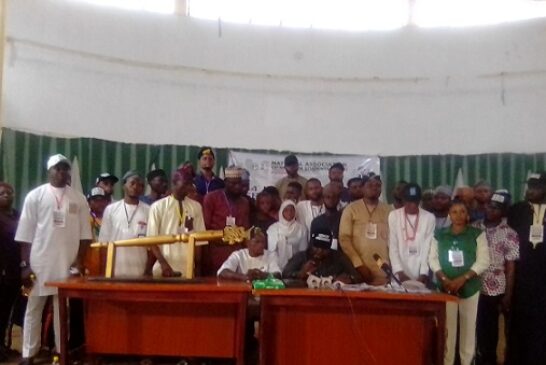 NANS Senate Hails Minister Of Defence For Promoting Peace Among Students