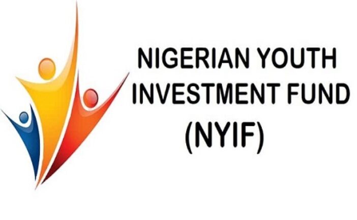 80,000 Apply For N110b Youth Investment Fund In 72 Hours