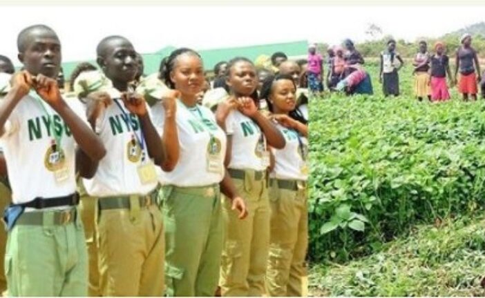 Governor Wants Corps Members To Do Agricultural Work During Service Year