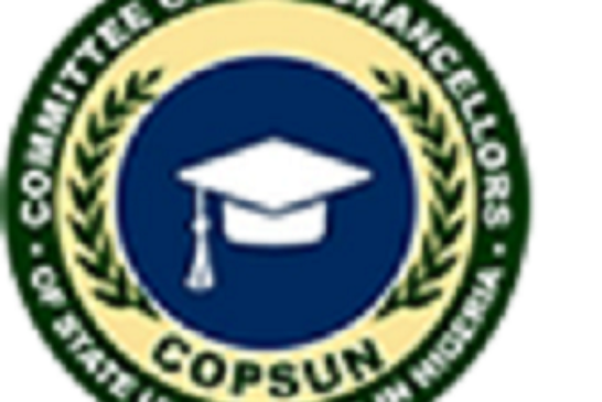 Pro-Chancellors Seek End To Strike In Varsities