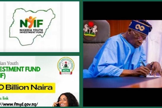 FG Reopens NYIF Application for N110 Billion Fund July 2024- Nigeria Youth Investment Fund