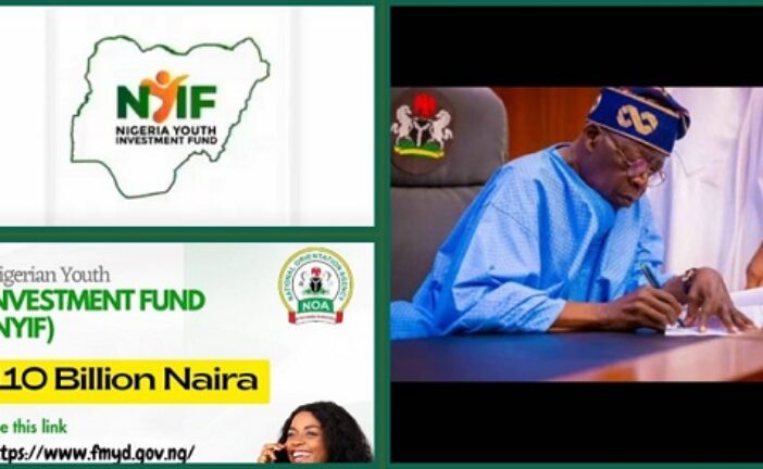 FG Reopens NYIF Application for N110 Billion Fund July 2024- Nigeria Youth Investment Fund