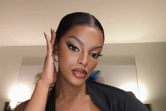 Ex-Miss S’Africa Contender, Chidinma Adetshina, To Compete In Miss Universe Nigeria 2024 