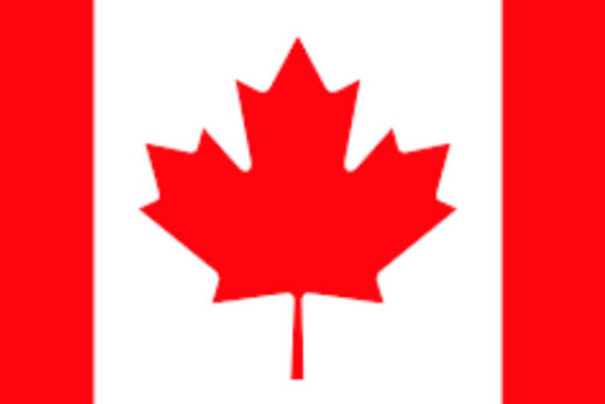 Canada bars visiting visa holder from work permit