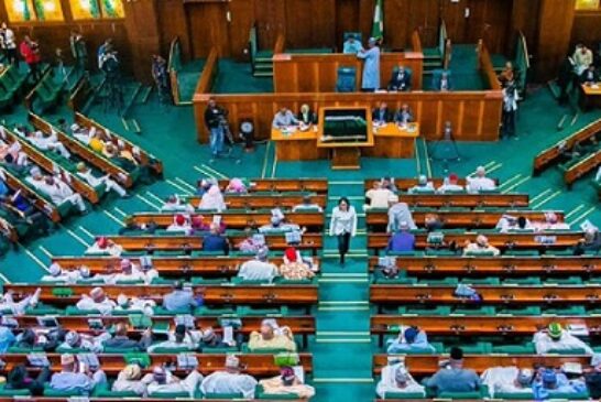 Reps Query WAEC Over N6b Deficit In 2023, N5b Loan For Customised Calculators