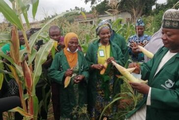 Food Security: Kwara Polytechnic Makes Inaugural Harvest From School Farm