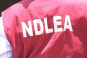 NDLEA Proposes Mandatory Drug Tests For Varsity Admission