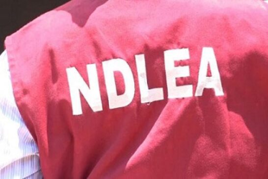 NDLEA Proposes Mandatory Drug Tests For Varsity Admission