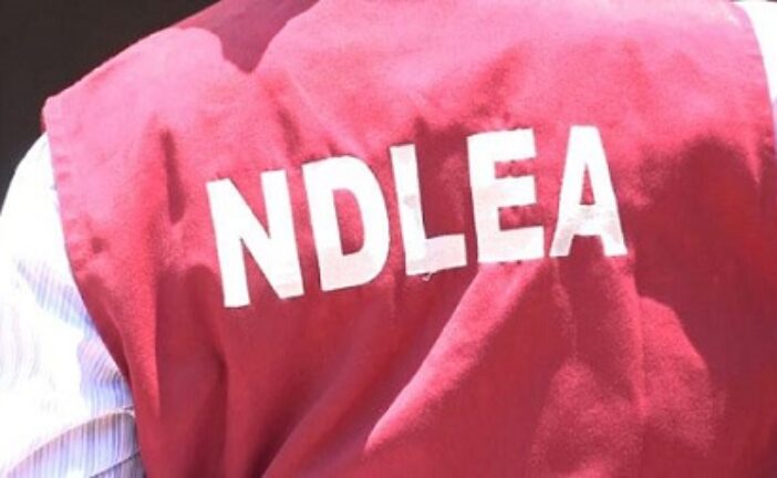 NDLEA Proposes Mandatory Drug Tests For Varsity Admission