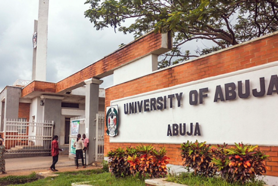 UniAbuja Veterinary Students Secure IVSA CEVA Grant