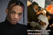 I’m Hale, Hearty — Tekno Denies Collapsing On Stage In South Africa