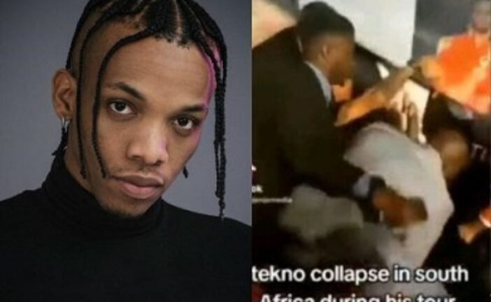 I’m Hale, Hearty — Tekno Denies Collapsing On Stage In South Africa