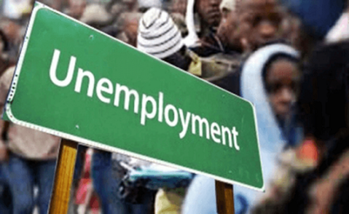 Unemployment: Fed Govt To Develop Skills Among Youths