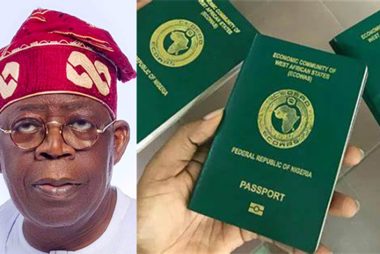 Passport Fees Rise To N100,000, N50,000