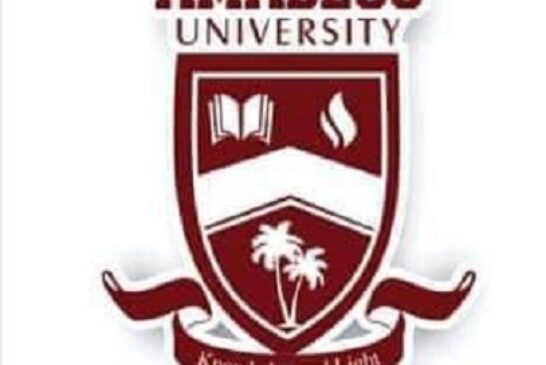 Education Major Tool To Eradicate Poverty — Amadeus Varsity Founder