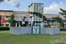 LUTH Begins Bone Marrow Transplant For Sickle Cell Cure