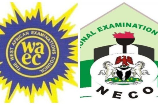 WAEC, NECO Age Requirement Policy Will Drag Education Sector Backwards – SSANU