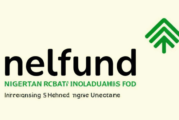 NELFUND Disbursement Hits N84.2bn — Reps Member