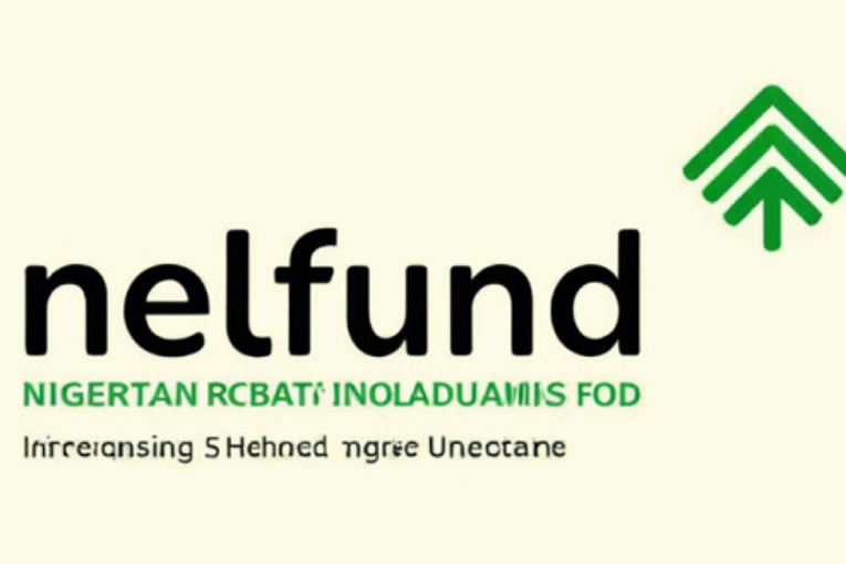 NELFUND Disbursement Hits N84.2bn — Reps Member