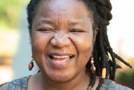 Zimbabwean Wins Africa Education Medal