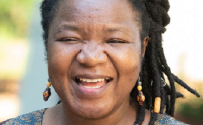 Zimbabwean Wins Africa Education Medal