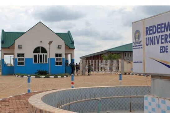 Redeemer’s Varsity Breaks New Grounds In Cancer, DNA, Other Studies