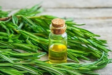 How To Make Rosemary Oil At Home