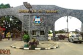 Five UNICAL Students Bag Scholarships To Study C’River Gorilla Habits