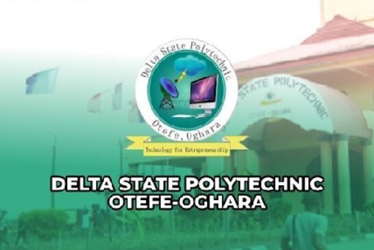 Delta Polytechnic Secures 16 New Academic Programmes