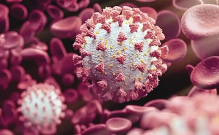 COVID-19: FG Activates Preventive Measures Over New Strain