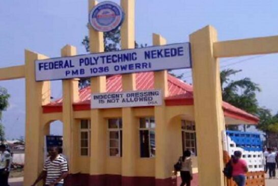 Nekede Fed Poly Pioneers AI-Driven Smart Agric Training, Women Empowerment