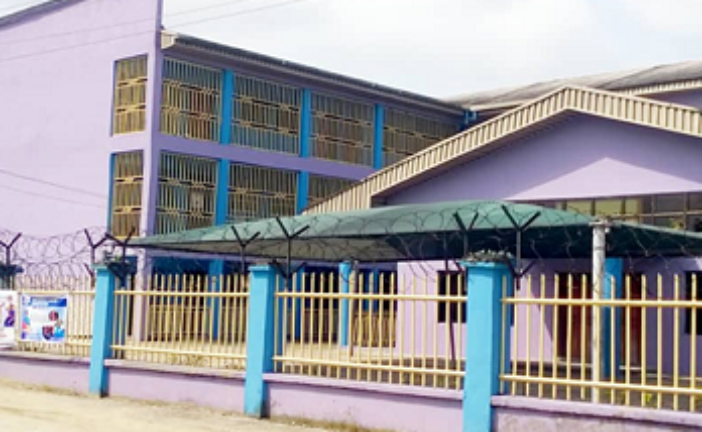Delta School Unveils Global Partnership On Education, Champions Child Rights