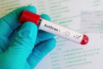 FG Alerts Nigerians To Anthrax Outbreak In Zamfara, Lists Symptoms