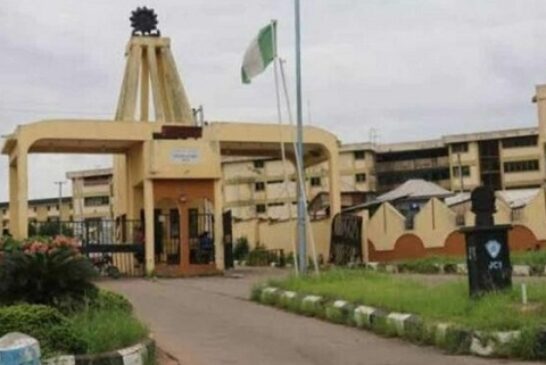 Oyo Polytechnic, College Of Education Workers Threaten Strike Over Unpaid Minimum Wage 