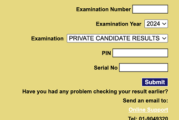 Step-By-Step Guide To Check 2024 WASSCE Results For Private Candidates
