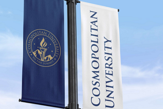 NAPPS, Cosmopolitan Varsity Partner To Integrate AI Into School Mgt