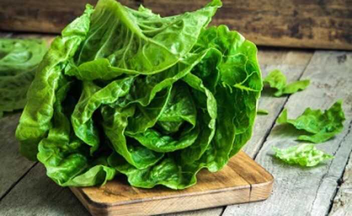 Lettuce: 10 Health Benefits, Types, Nutritional Recipes & Recipes