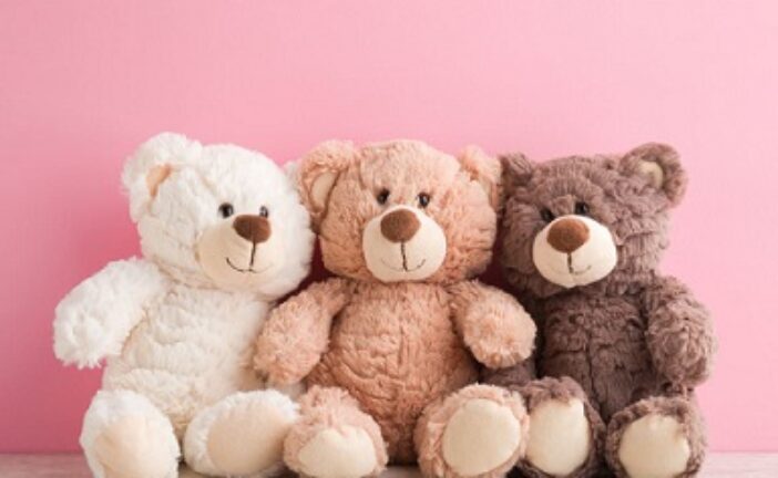 UK Teen Bags Life Sentence For Killing Schoolgirl Over Teddy Bear