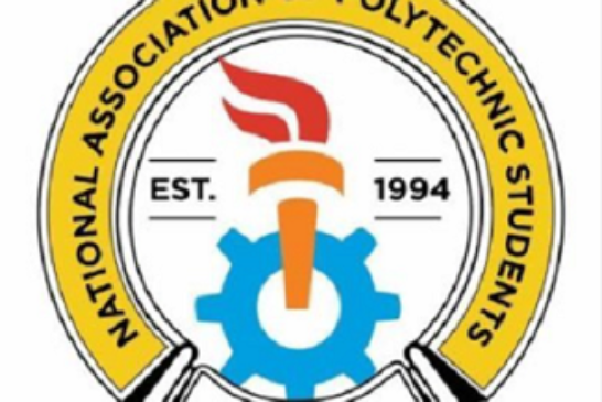 NAPS Urges NANS To Oppose Polytechnic-To-University Conversions