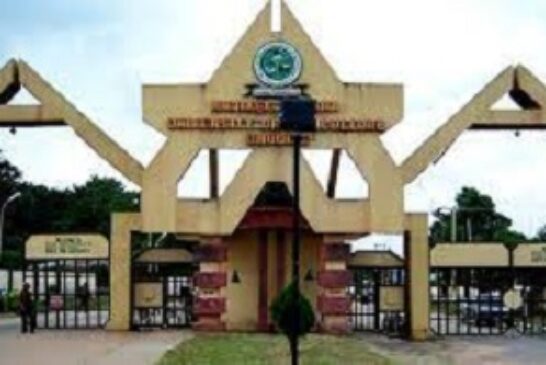 Okpara Varsity Graduate Invents Re-Usable Sanitary Pad Using Banana Trunks